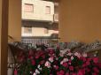 Pino Hotel image 2